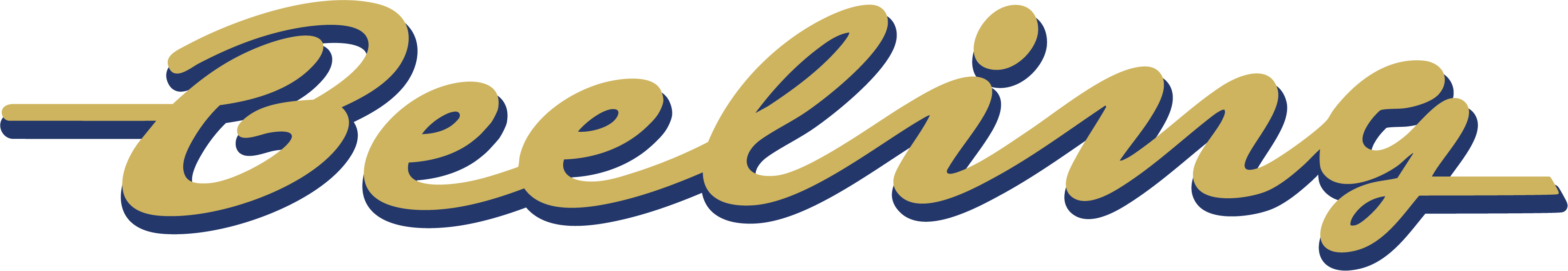 Reisedienst Beeling GmbH